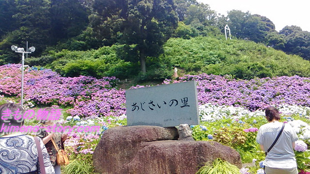愛知県蒲郡市「形原温泉あじさいの里」中腹にある「あじさいの里」の石碑付近