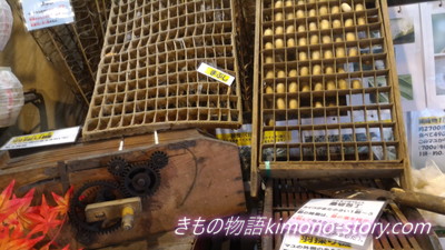 日本昭和村の「かいこの家」でお蚕さんの繭をつくるところまぶし