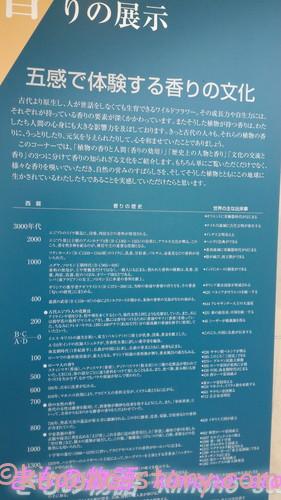 名古屋港区のフラワーガーデンガーデン「ブルーボネット」のサニーハウスにある香りの歴史