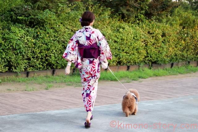 浴衣 後ろ姿 犬 散歩