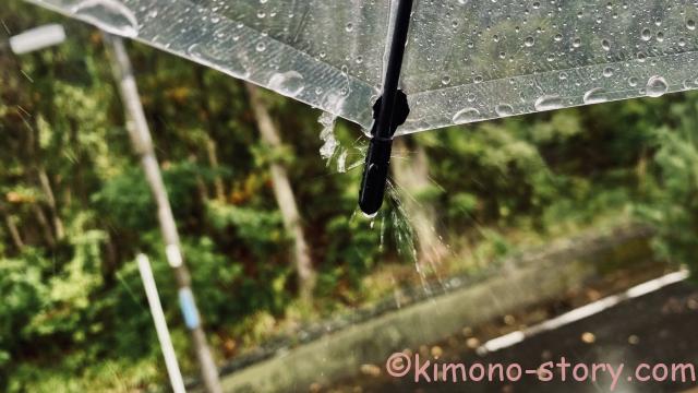 雨　傘　透明